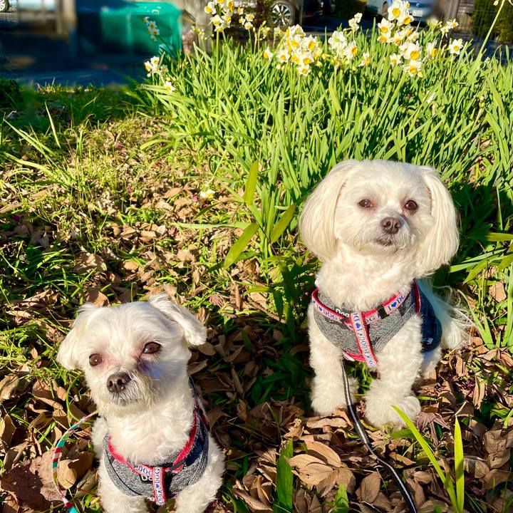 E5e6342d f703 4636 9b33 4a84de5ed8a7 1640079003650