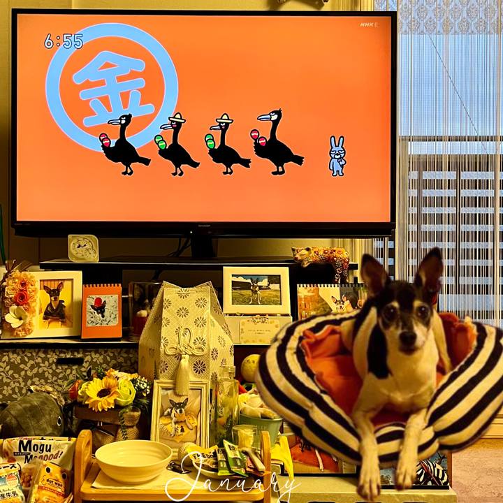 E5e6360a 7b97 4b85 a51c 6e82a7267929 1672955975675