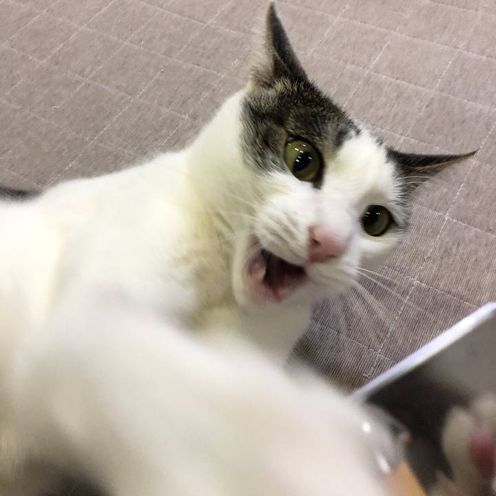 E5e63864 c086 40a2 8fde fd851e9947a1 1652877429347