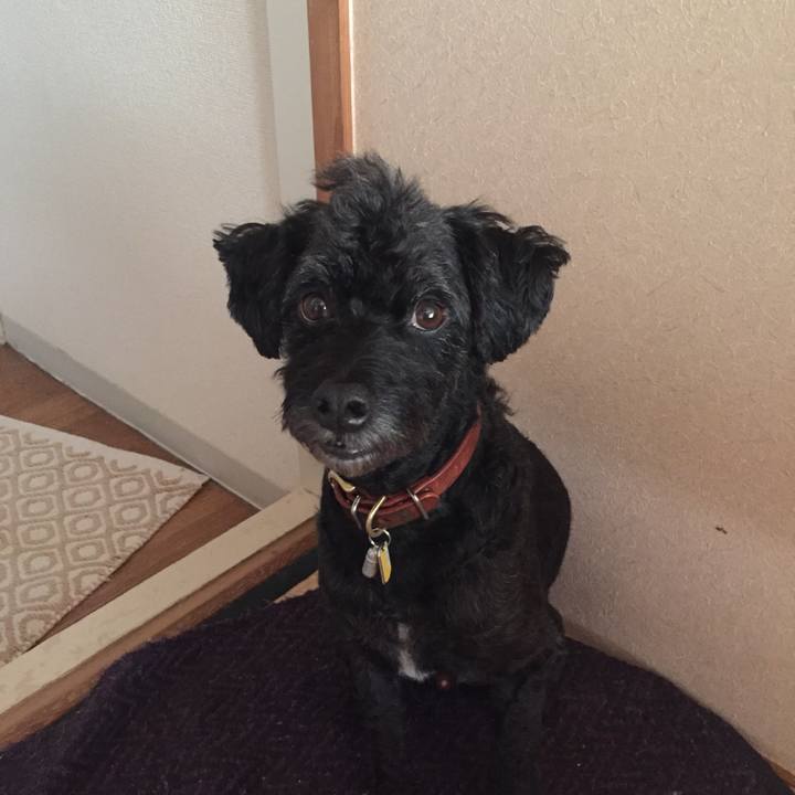 E5e6563e 5bed 4929 bfb4 1c4cf759928e 1564975649550