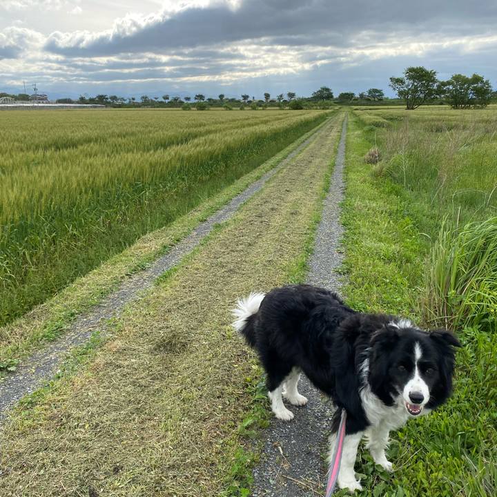 E5e65d68 7644 4e8a a039 aa71b51a2988 1651274162440