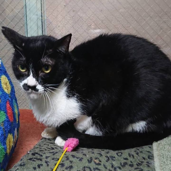 E5e66927 461c 4329 b4c7 718fe600c0cd 1651229461349