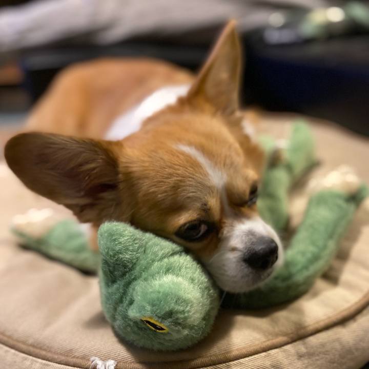 E5e66e7b 5e2b 4849 baac 7c784795d5c4 1666362055624