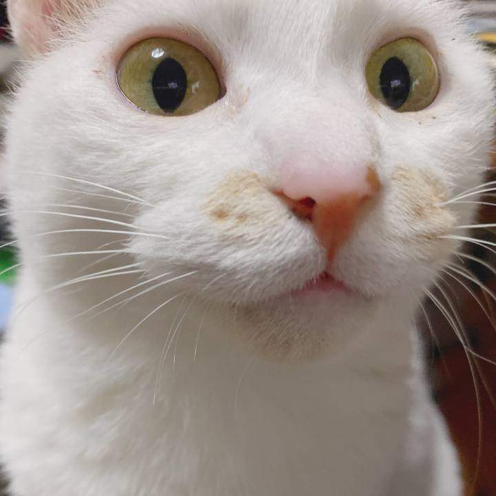 E5e68998 d97d 4f2d ae1e 54c9d8da3a7b 1586083024841