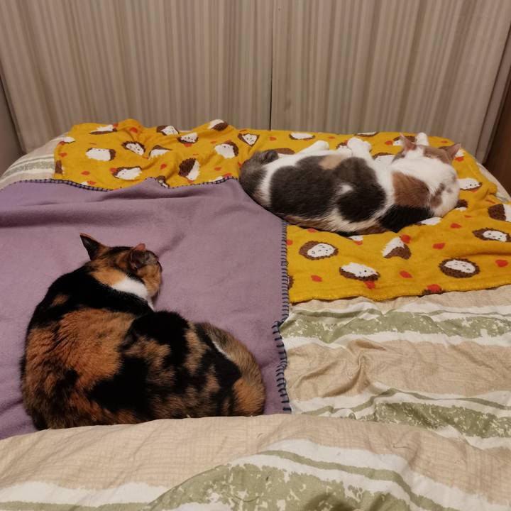 E5e68b72 8ffb 4bbd b765 6394456963e5 1681628179436