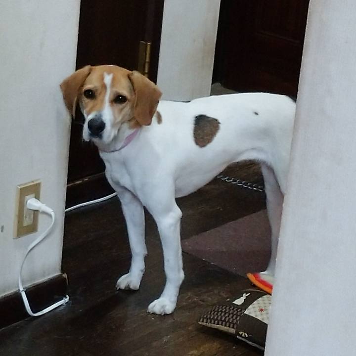 E5e69024 c3d5 489d 90f0 62878518ee3d 1579956468480