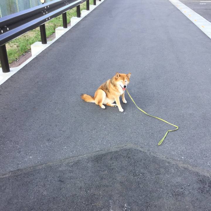 E5e69870 c1f6 455b 98ec d9e3692a15ab 1593680853042