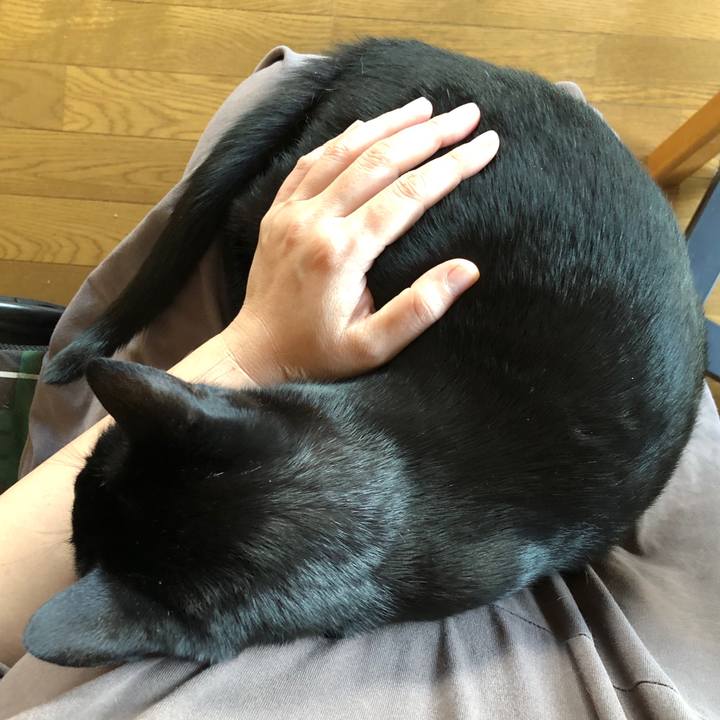 E5e6a15b b254 4b9c 8871 593f0a9a2c04 1697841069289