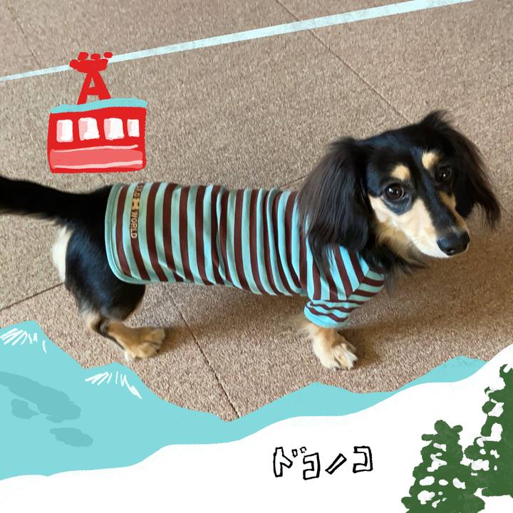 E5e6bd3c 9c42 4560 ab08 76cae0cbe674 1706763400368