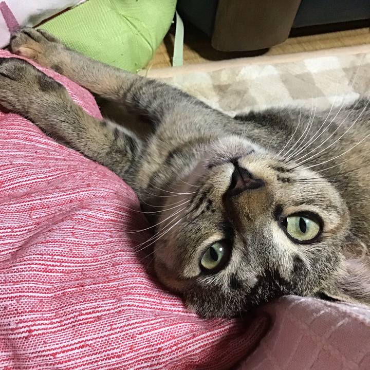 E5e6c5f5 099a 444e 8c4b 9dba69793886 1575540046837