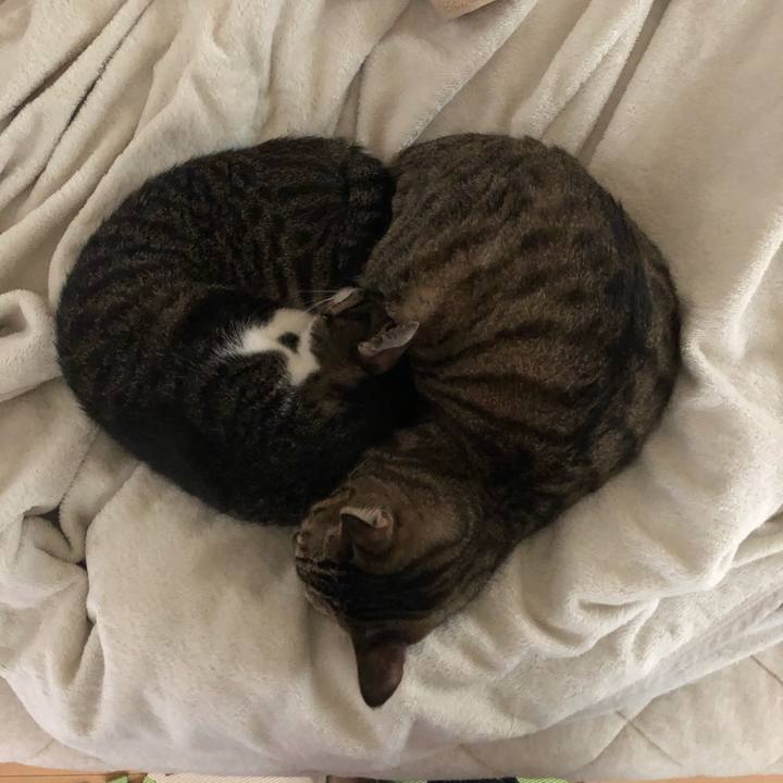 E5e6dd93 54a1 4ce6 914e 857421b74233 1571188094820