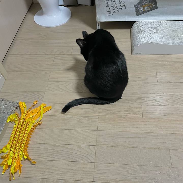 E5e7032a 062a 4de5 9de8 6bb57ce929ea 1700226373048