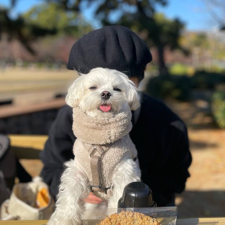 E5e74da4 d78d 404a 8ab7 3663c15f63eb 1765086331574