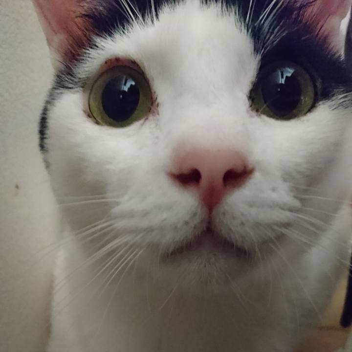 E5e75248 da59 4a07 8b56 b16b34926af0 1520602663312