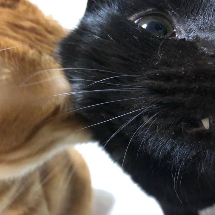 E5e757c0 1a9b 4b8c 9d7e a2f812e066cf 1610784620805