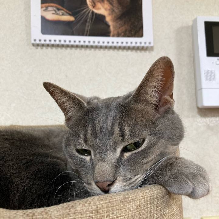 E5e75d80 7436 4760 8b34 8f1367828e82 1716556575313