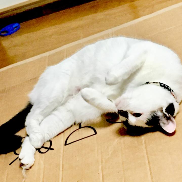 E5e7db2d d27a 4e3d b994 3d8960274632 1531539389517