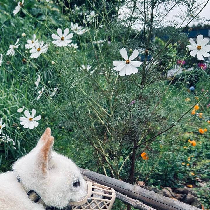 E5e7e4c5 5ef6 4991 9d65 71d7fd9bb917 1757365905986