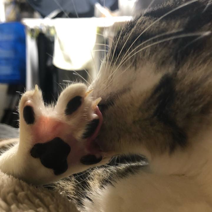 E5e7f00d a6b3 4c97 9872 774c5b8796f9 1520765605510