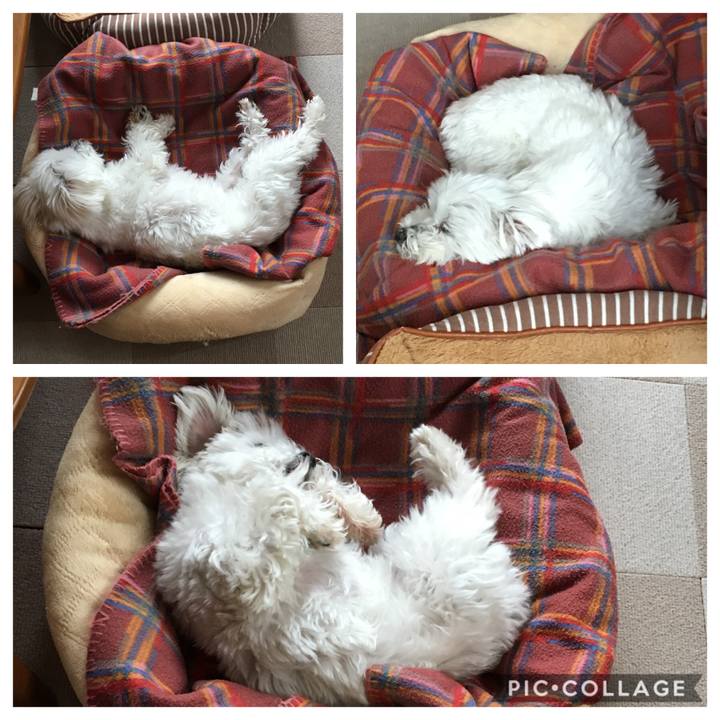 E5e817be 0d54 4cae 95dc 798b510ad7a4 1556340452770