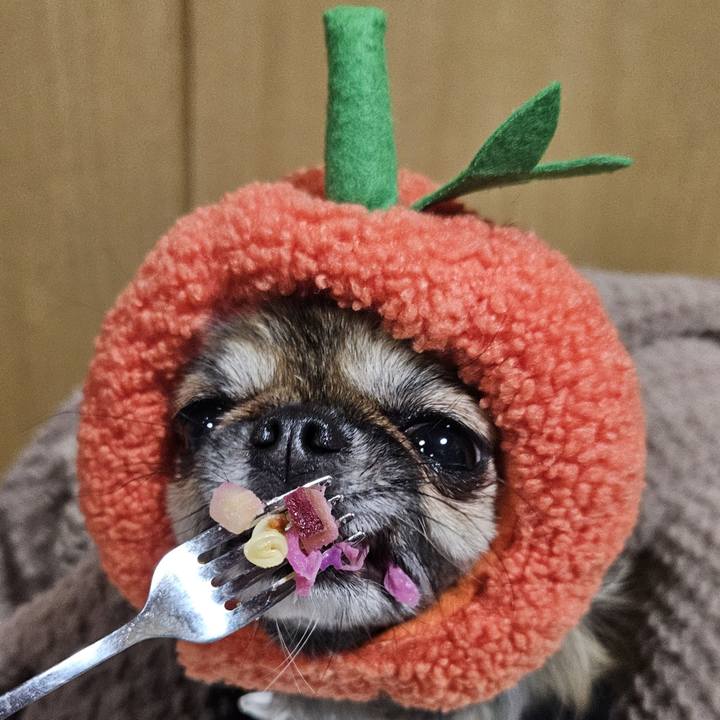 E5e8186a f7d5 4b65 bfd2 03b4ee3a4e16 1765362623080