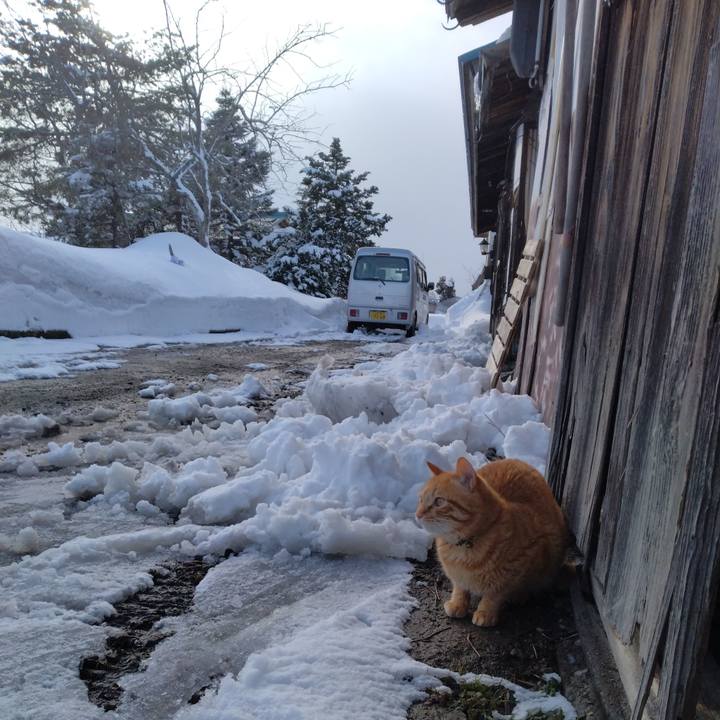 E5e842bf 6ae1 42c8 9610 0d13d6d8e46a 1676443626452