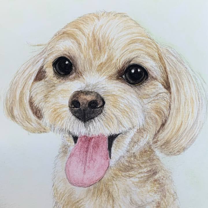 E5e843ca 53c1 4b39 b3a6 0c179004cd05 1693029619472