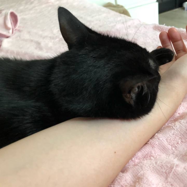 E5e88d75 91da 49c3 a7be 52485e9e56e2 1564784677422