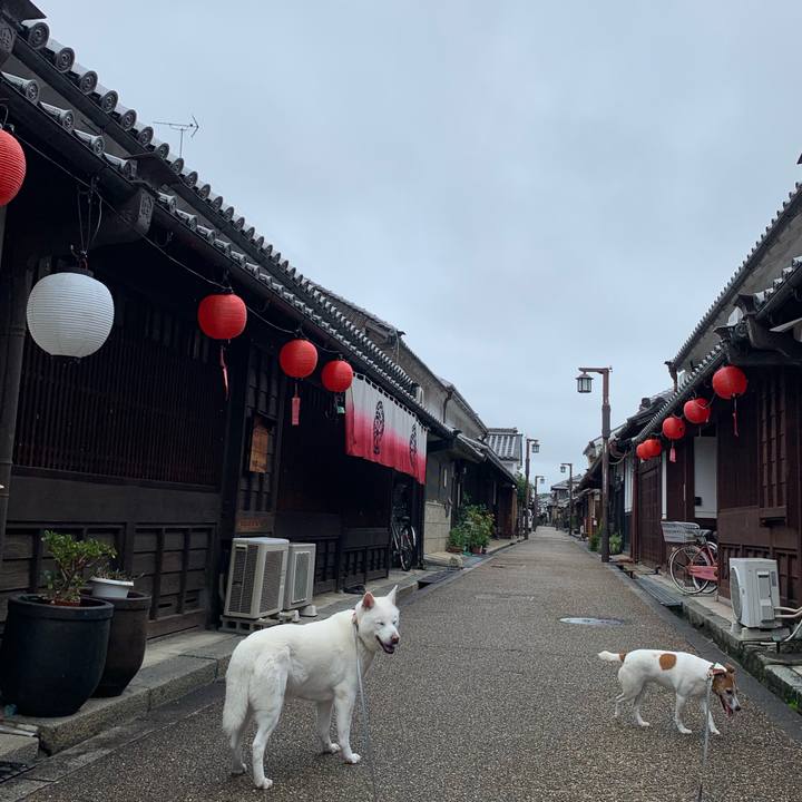 E5e89a39 d0da 40ad a051 02b6e29b61c8 1563063330641