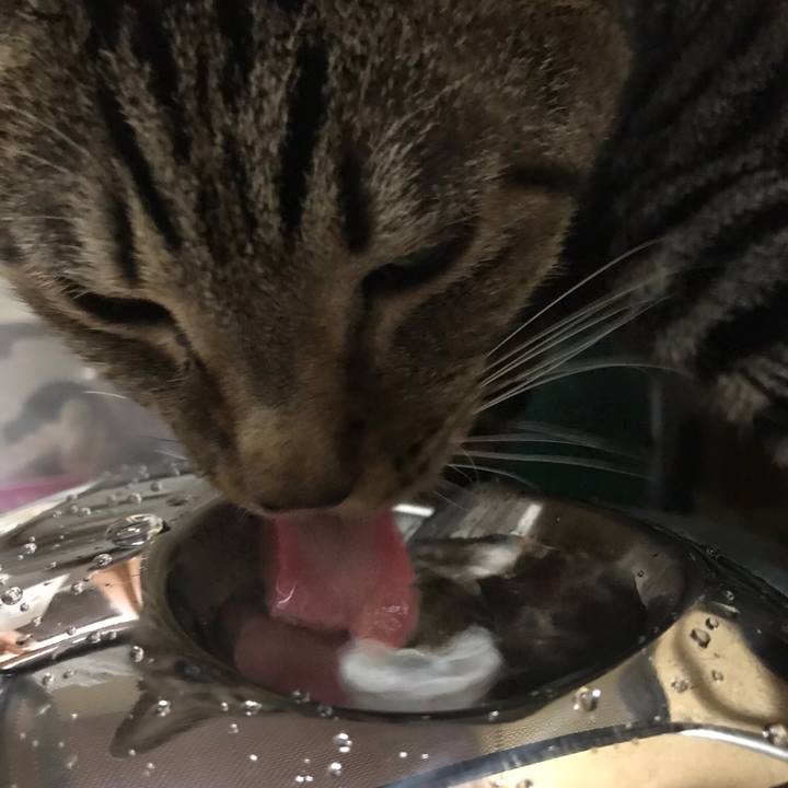 E5e89b58 19dc 4d53 be44 ba009a8d2fd4 1513299274034