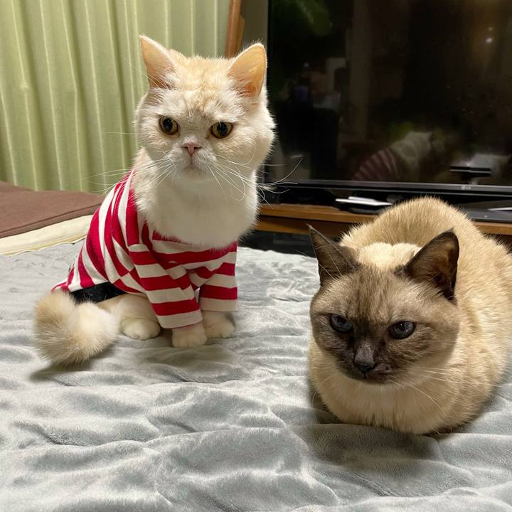 E5e8a944 7504 4efb a138 d74f33c82994 1762864550409