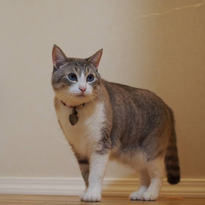 E5e8c591 4c4f 4245 82f4 643140d39b96 1594304471427