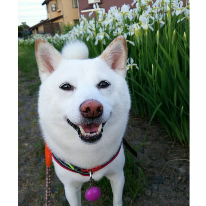 E5e8d285 ce19 4a88 a505 1955b0f4f6a8 1558260639508