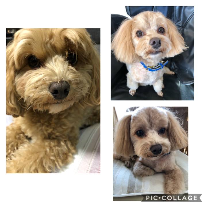 E5e9159a 1107 4a9c aa9e b0744543d0ee 1606536603564