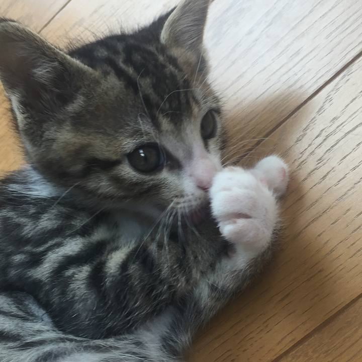 E5e92bee 2881 4c4d 99c7 59d301e55a6b 1651874564159