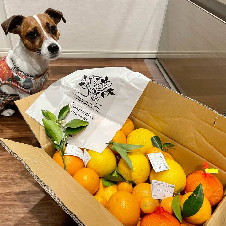 E5e94318 9c37 48f9 a64d d27483459932 1651664037683