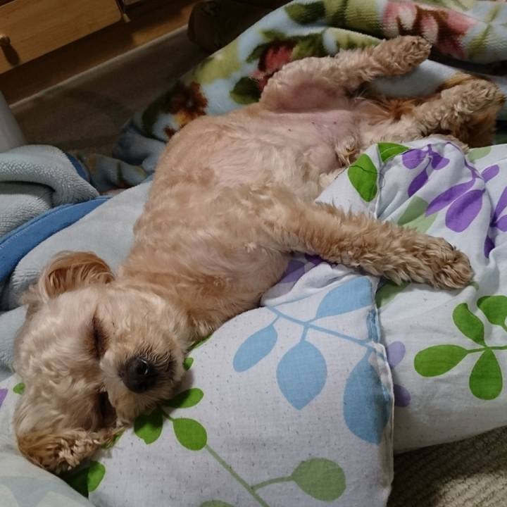 E5e961b0 39db 46f0 946e 6454c9a974b9 1525080257077