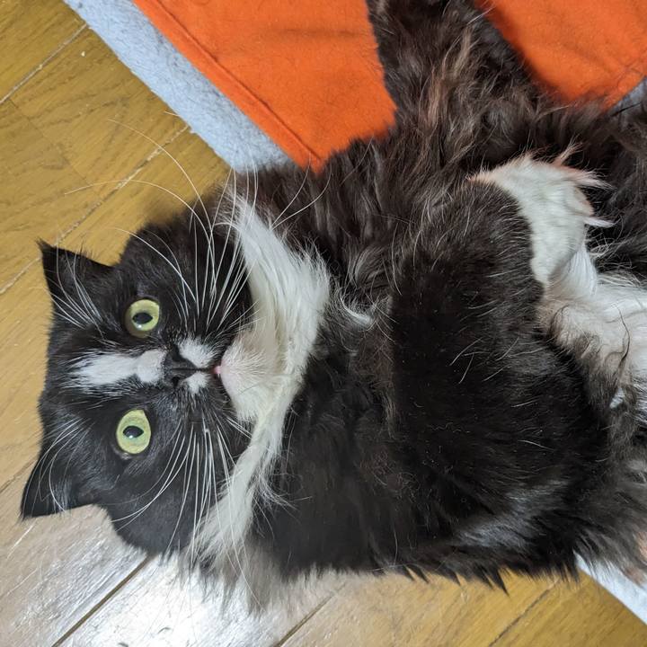 E5e9a289 01a4 4b38 a4f8 c3a7ff760981 1704715770668