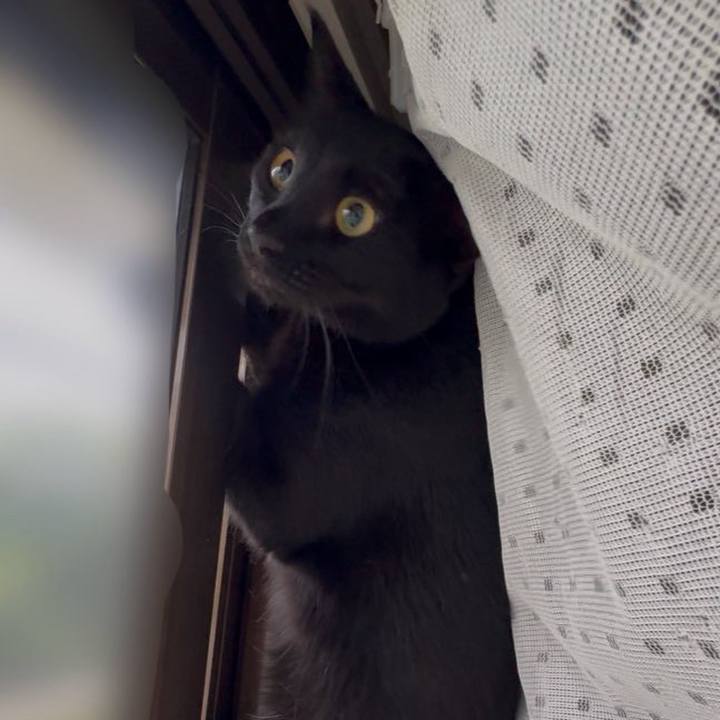 E5e9a296 cef7 42af ba7b 31c4ec1e547c 1752451152047