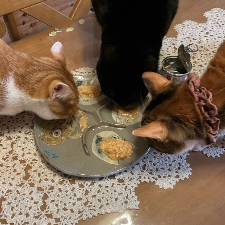 E5e9bc90 728c 40f0 a5a9 534aa080acd4 1673910336808