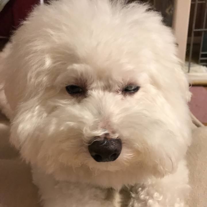 E5ea0b50 23f0 4997 bf07 4041868da5fa 1532786269527