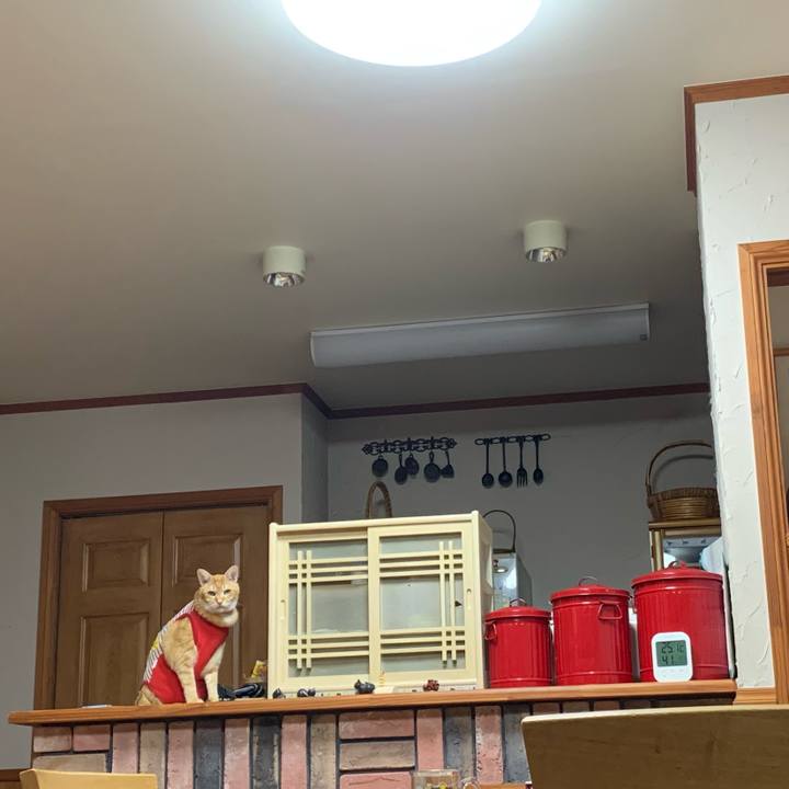 E5ea3f70 7225 4f46 a2b2 e016a6ff8568 1585062606841