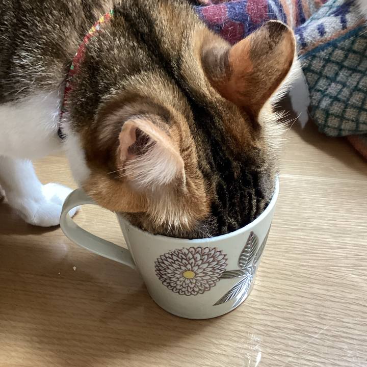 E5ea7287 3031 4a1f 90c3 a17c1ab0fe0e 1680750198169