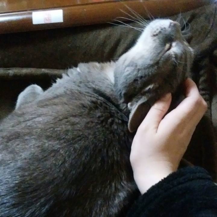 E5eaaba1 649b 4703 8a0e 4f3620a48f92 1519476755253