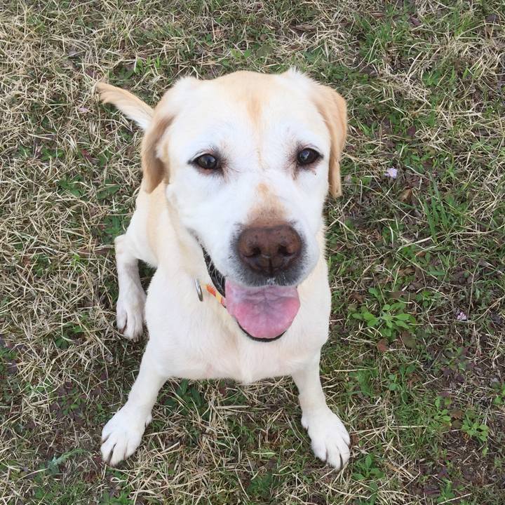 E5eab621 b2c9 4e10 b7dd 46ba7a611b09 1549114686472