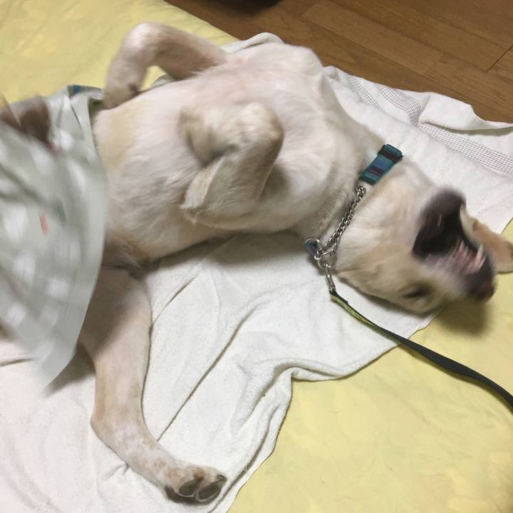 E5eab959 9536 4e1a 9e1b 861713c546f8 1530616844917