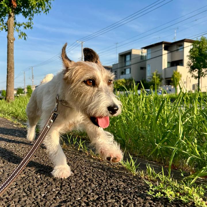 E5eabc21 eb1c 4ccf 9747 b2f5e4d8af44 1753695209024