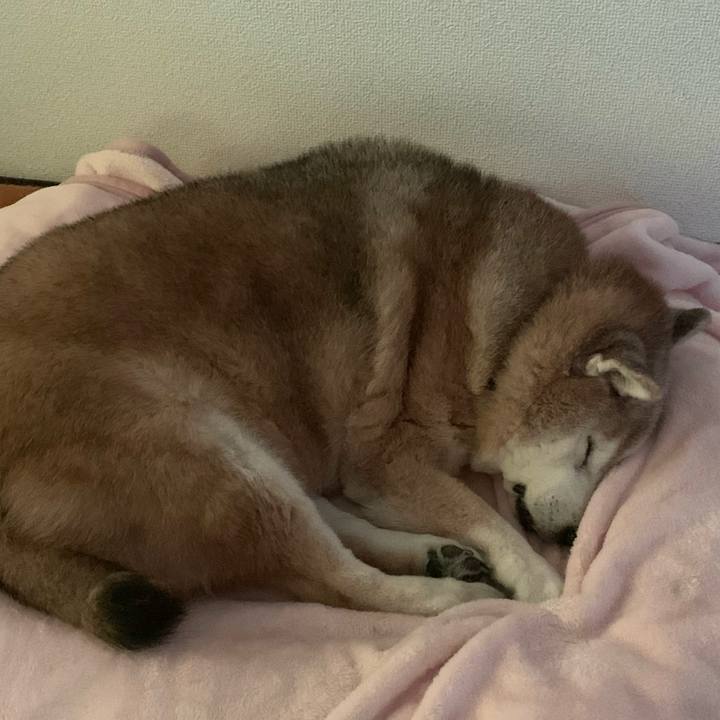 E5eac0f2 92fe 4df4 82e3 c52d6c9924db 1640999095464