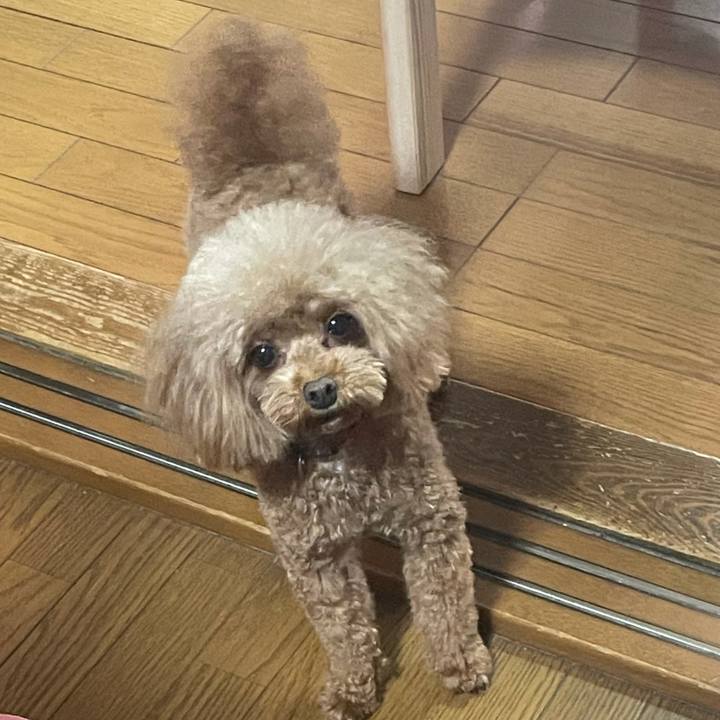 E5eac755 d895 4d8a ab0b 4b41955ebe03 1637447675749