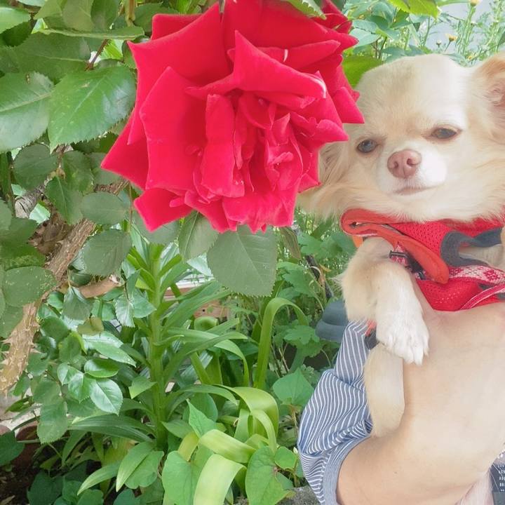 E5eae28b 4968 41ab 9241 49c31ca9077a 1619597711231